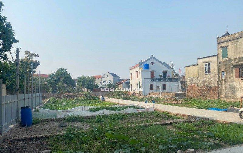 Hàng đầu tư F0 3 mặt thoáng tại Thanh Đặng – Minh Hải. Lh Ngay 03625546844